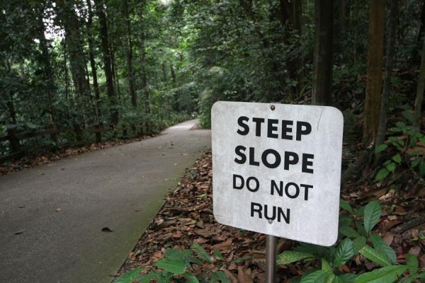 Joggers went down backwards on this slope, Singapore
