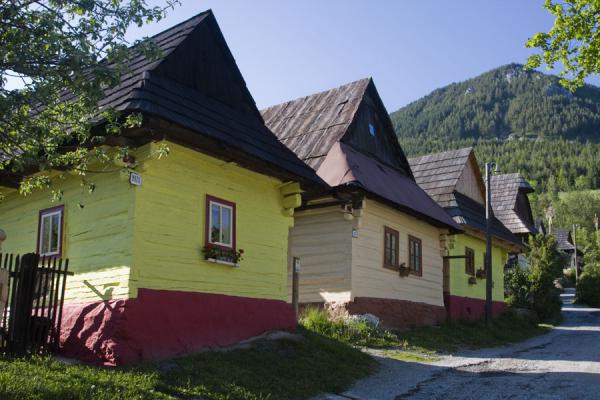 Row of houses on the main street of Vlkolínec | Caminata Cervino | Suiza