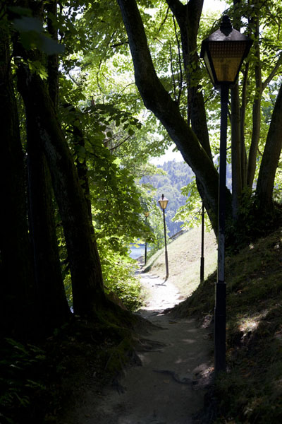 Trail running around Bled Island with lanterns | Meer van Bled | SloveniÃ«