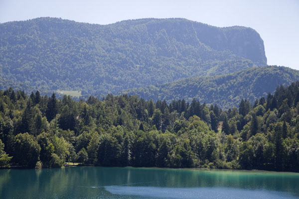 View from Bled Island towards the shore of the lake | Meer van Bled | SloveniÃ«