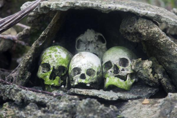 Foto de Islas SalomÃ³n (Niche with skulls on the shrine on Nusa Kunda, or Skull Island)