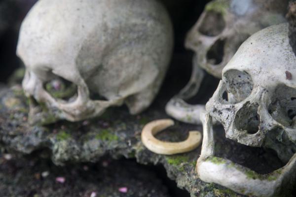 Picture of Close-up of skulls in a niche on the shrine of Nusa Kunda, or Skull IslandMunda - Solomon Islands