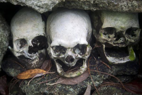 Picture of Three skulls in a row in a niche on the repository of skulls on Skull IslandMunda - Solomon Islands