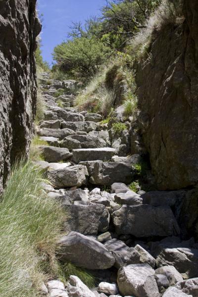 Picture of Part of the trail leading up Platteklip GorgeCape Town - South Africa