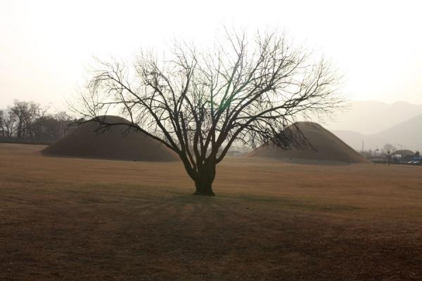 Tree and tumuli: typical view in Gyeongju | Gyeongju | CorÃ©e du Sud