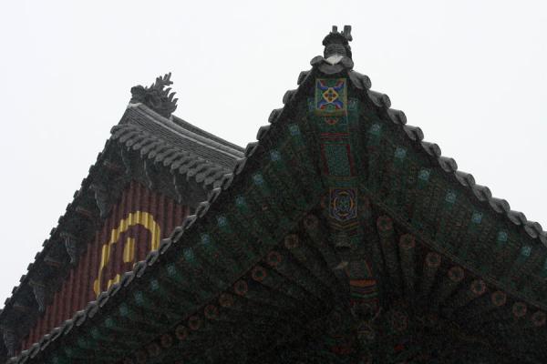 Detail of the roof of the Great Hero Hall of Jogyesa, South Korea