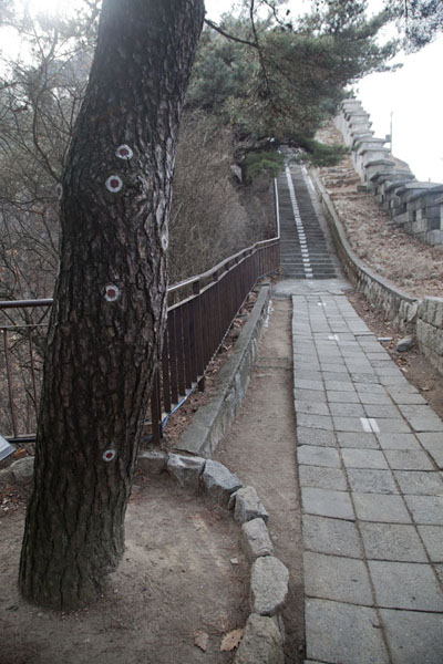 1.21 Pine Tree Incident took place here; bullet marks still visible | Muraglia della cittÃ  del Monte Bugaksan | Corea del Sud