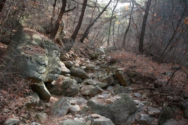 Photo de Path leading up Namsam mountainGyeongju - CorÃ©e du Sud