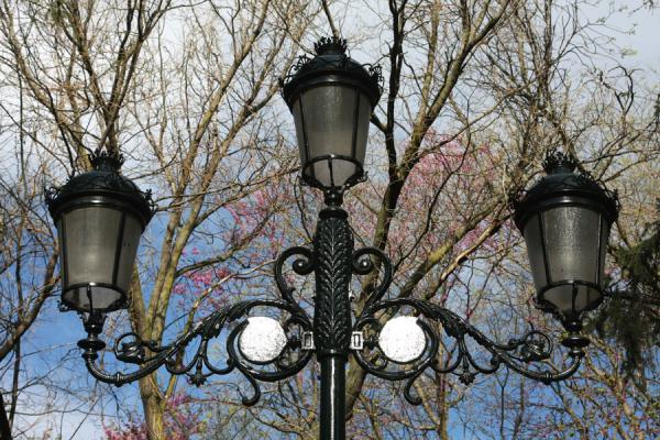 Street lantern of the Campo del Moro | Campo del Moro | Spagna