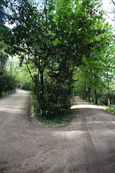 Path in the Campo del Moro | Campo del Moro | Spagna