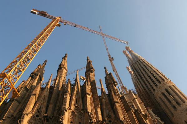 Looking up the towers and cranes of the Sagrada Familia, Spain