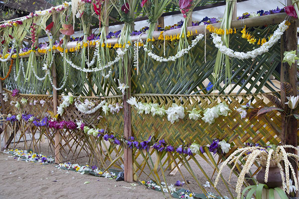 Foto di Flowers hanging from a fence near the Temple of the Sacred Tooth RelicKandy - Sri Lanka