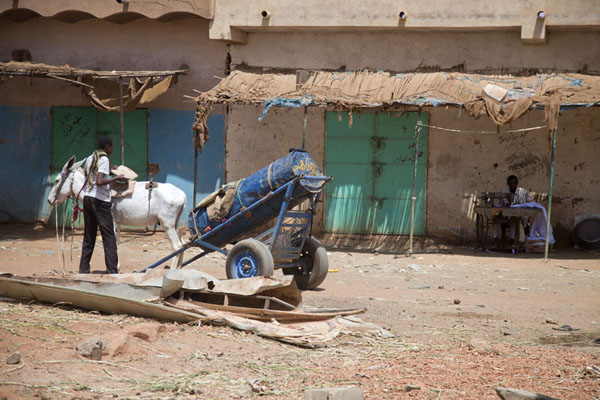 Foto de Donkey with cart at the camel market of OmdurmanOmdurman - SudÃ¡n