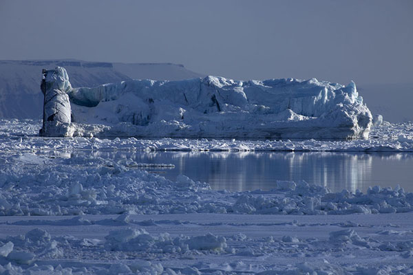 Iceberg floating in the bay of Mohnbukta | Mohnbukta | 