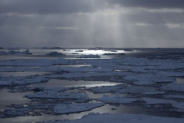 Rays of sunlight shining on the ice and water near Mohnbukta | Mohnbukta | 