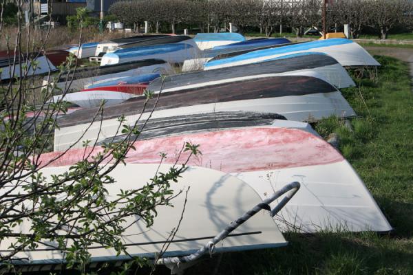 Foto di Boats parked on the mainland of StyrsöArcipelago di Gothenburg - Svezia