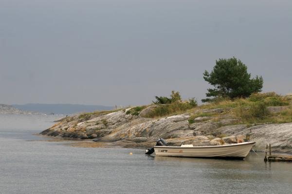 Foto di Boat, tree and rocks on Vrångö islandArcipelago di Gothenburg - Svezia