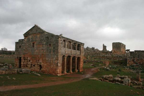 Tavern and main street of Serjilla | Serjilla | Syrie