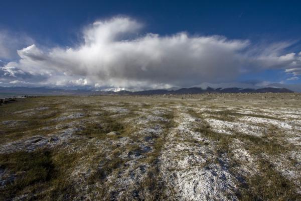 Salty surface near lifeless Lake Kara Kul | Lago Kara Kul | Tagikistan