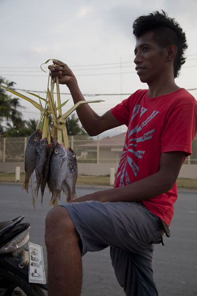 Guy selling fish from his motorbike | Dili | Timor Est