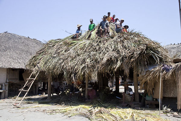 Men covering a house with dried palm leaves | Suai Loro | Oost Timor