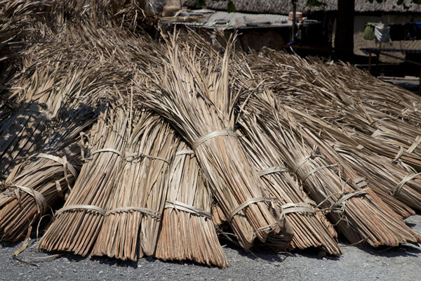 Bunch of dried leaves waiting to be used | Suai Loro | Oost Timor
