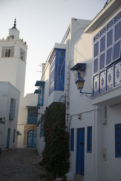 Side street of Sidi Bou Said with whitewashed houses, blue balconies and doors, Tunisia