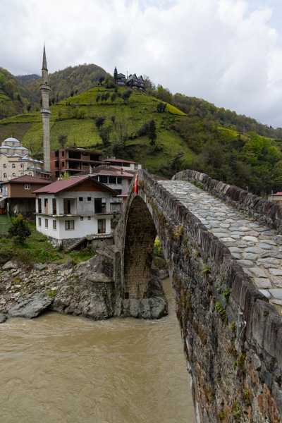 Foto van Timisvat bridge, one of the around twenty bridges in Fırtına ValleyFırtına Vallei - Turkije