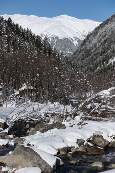 View towards the snowy mountains from inside Elevit valley | Fırtına Vallei | Turkije