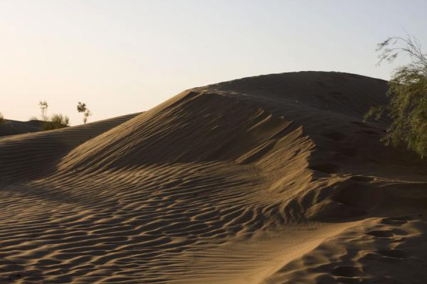 Sanddune on the way to the gas crater of Darvaza, Turkmenistan