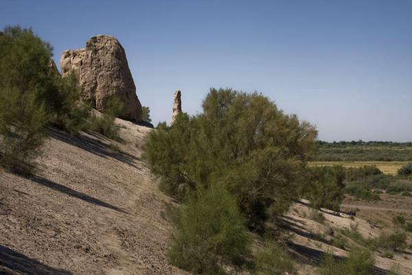 Trees growing near the city wall of Izmukshir, Izmukshir, Turkmenistan