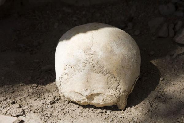 Skull in the defensive walls of Izmukshir, Izmukshir, Turkmenistan