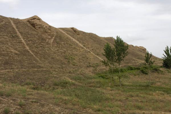 Trees and wall of Nisa | Nisa | Turkmenistan