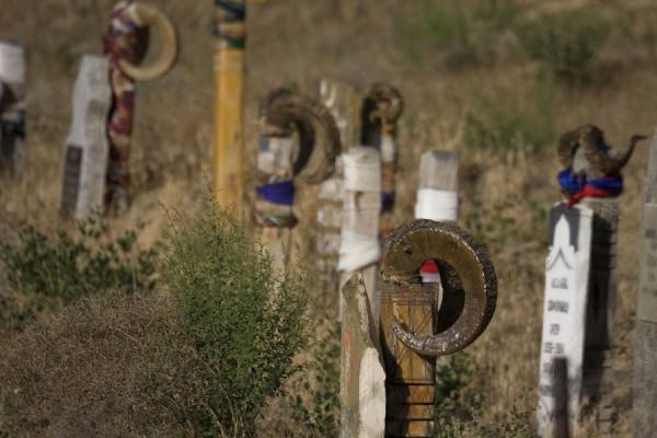 Close-up of tombstones with horns in the cemetery of Nokhur, Turkmenistan