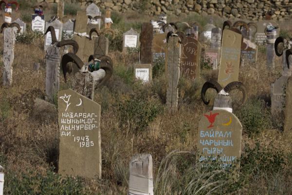 Cemetery with horns attached to tombstones, Turkmenistan