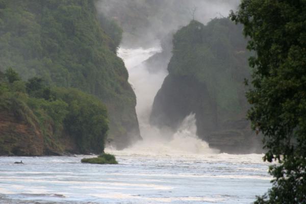 Foto de Murchison Falls seen from a distance on the NileCataratas Murchison - Uganda