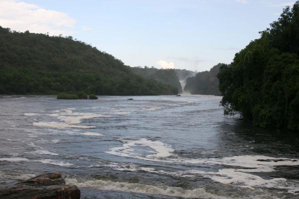 Foto de River Nile with foam caused by the force of Murchison Falls in the backgroundCataratas Murchison - Uganda