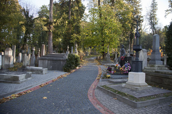 One of the lanes in the cemetery | Lychakiv cemetery | Ucraina