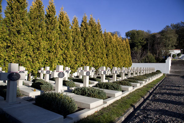 Row of graves in the morning sun at the Cemetery of the Defenders of Lviv | Lychakiv cemetery | Ucraina