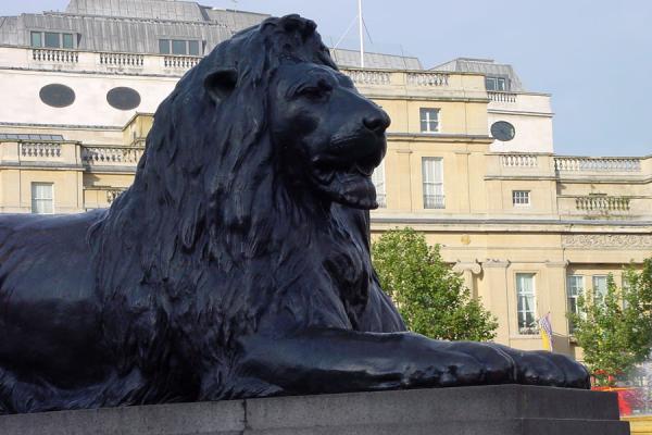 Foto di One of the lionsLondra - Regno Unito