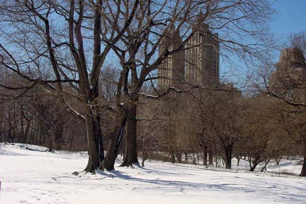 The city in the background, United States
