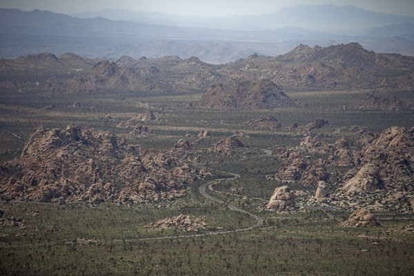 View of the northwestern part of Joshua Tree from Ryan Mountain | Joshua Tree National Park | United States