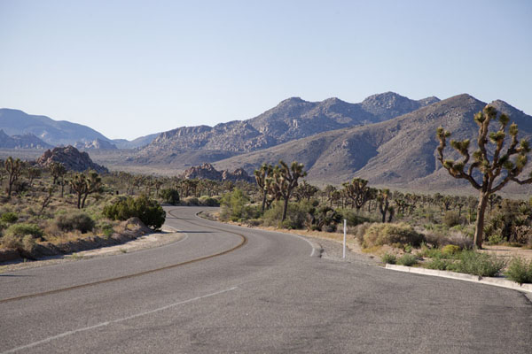 Park Boulevard runs from the West Entrance to the central area of Joshua Tree National Park | Joshua Tree National Park | United States