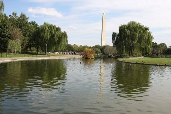 View on Washington Monument seen from the Constitution Gardens Lake | Monumento a Washington | Stati Uniti