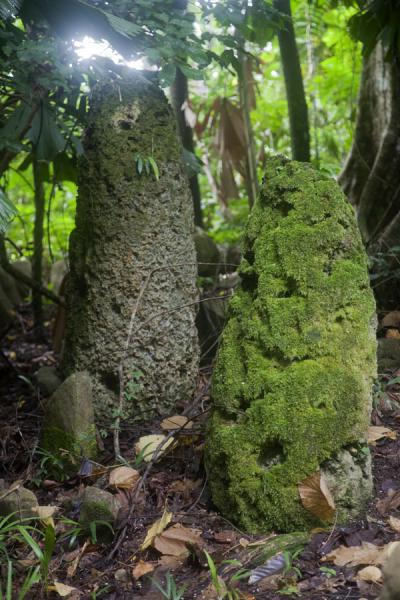 Family stones at the nasala of Lawor | Lawor cannibal site | Vanuatu