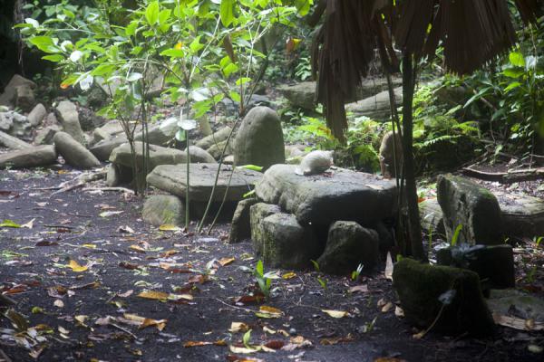 Family stones at the nasala of Lawor | Lawor cannibal site | Vanuatu