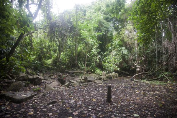 The nasala of Lawor - the communal area used for functions where the tribe have their family stones | Lawor cannibal site | Vanuatu