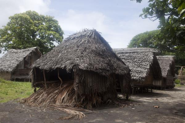 Row of traditional houses in Port Resolution | Port Resolution | Vanuatu