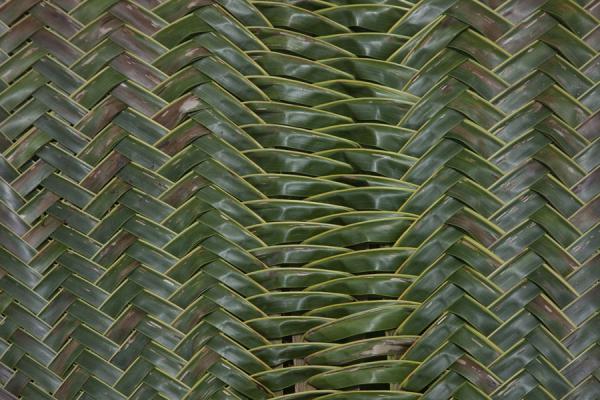 Close-up of woven palm tree leaves drying in the sun | Port Resolution | Vanuatu