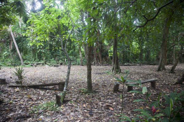The open space, or nasala, where family stones are kept, and ceremonies performed | Ile Wala | Vanuatu